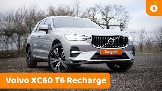 Why YOU should consider the Volvo XC60 T6 Recharge as your next car  Tangelo [upl. by Chan513]