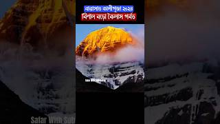 Barasat Kali Puja 2024 Kailash  youtubeshorts kalipuja2024 barasatkalipuja2024 [upl. by Gwenora]