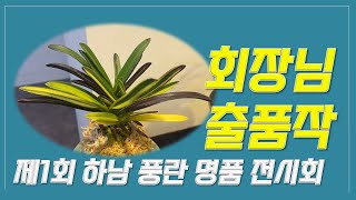 제1회 하남 풍란 명품전시회에서 만나본 회장님의 출품작 공개 [upl. by Garrik]