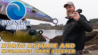 How to Fish the Asturie and Dark Sleeper with Ultimate Fishings Sietze Hendriks  Bass Lure Fishing [upl. by Pang101]