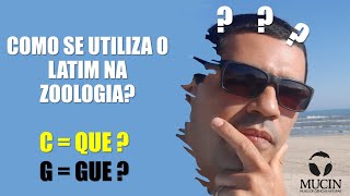 Você sabe como se utiliza o latim na Zoologia [upl. by Allesig695]