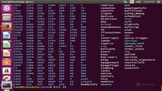 How to explore proc File system in Linux [upl. by Coney155]