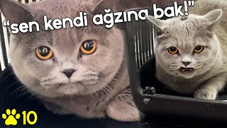 BÖYLE AĞIZ GÖRDÜNÜZ MÜ 😆 beti [upl. by Hilaire]