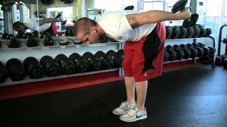 Dumbbell Tricep Kickbacks [upl. by Weirick]