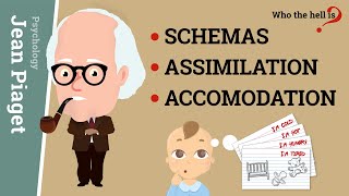 Schemas Assimilation and Accomodation Jean Piagets Epistemological Concepts [upl. by Micki647]