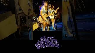 The Surfragettes  Toxic britneyspears livemusic surf surfmusic cover Toronto Oct 5 2024 [upl. by Kwabena]