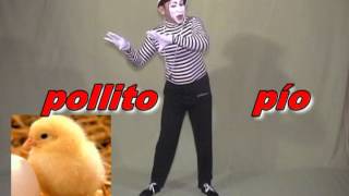 MIMO POLIFACETAS BAILANDO EL POLLITO PIO [upl. by Nahrut]