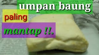 CARA MEMBUAT UMPAN IKAN BAUNG BAHAN TAHU PUTIH DAN KORAN BEKAS [upl. by Breanne]