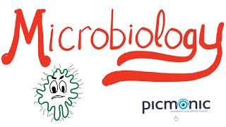 Microbiology Part 1 Introduction  Actinomyces israeli Listeria Diphtheria Nocardia  Picmonic [upl. by Martens662]