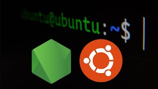 How To Install Nodejs On UbuntuMintZorinElementaryDebian Linux Distributions [upl. by Anelyak454]