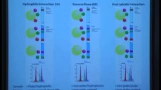 Chromatography of Carbohydrates [upl. by Halyahs]