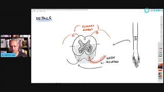 Guillain Barre Syndrome GBS [upl. by Yssim]