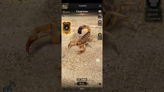 Upgrade the Cicindela aurulenta to level 8 The Ants Underground Kingdom [upl. by Gnuh74]