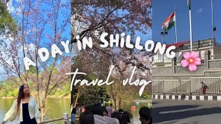 A DAY IN 📍SHILLONG🌸Cherry blossom festivalGoing back to Guwahatishillongtripyoutube [upl. by Bergh822]