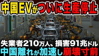 世界の中国離れが加速…中国EVの生産停止で失業者が大量発生する【ゆっくり解説】 [upl. by Nolyag]
