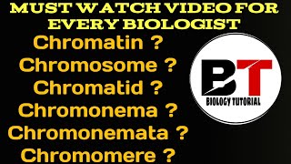 Chromatin chromosome chromatid chromonema chromonematachromomere [upl. by Laurene]