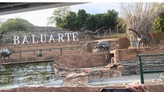 Baluarte Zoo Vigan Ilocos Norte [upl. by Nnaj229]