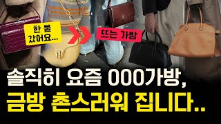 디자이너 가방👜 사고 후회하지 않으려면 반드시 피해야할 3가지✔️  1030만원대 유행 안타는 데일리백 추천  미니백부터 보부상까지 [upl. by Yadrahc]