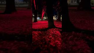 Beautiful park in Uppsala region autumn uppsala park nature [upl. by Anirhtak]