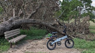 Clearing bike paths with my new cordless chainsaw [upl. by Akemeuwkuhc]