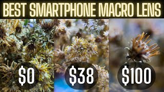 Best Smartphone Macro Lens  iPhone 13 Pro Max Macro Mode vs Apexel Macro Lens vs Moment Macro Lens [upl. by Wey611]