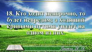 ВидеоБиблия Книга Притчей без музыки глава 28 Соколов [upl. by Acinaj]