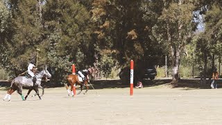 Copa de la Vendimia  Viñedo San Lucas y Viñedo San Francisco [upl. by Osnohpla]