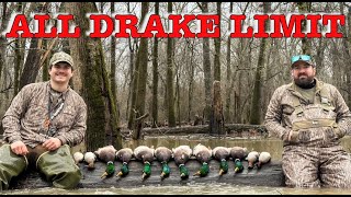 LATE Season Duck Hunting Arkansas Public Land  Trickey Outdoors [upl. by Goldfarb]