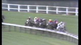 ARBRE CHENE NZ 1980 Air New Zealand Stakes [upl. by Aseuqram]