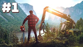 Lumberjacks Dynasty 2 [upl. by Enilhtak]