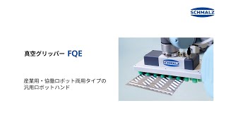 【シュマルツ】様々な形・複数個のワーク搬送を段替えなしで実現！汎用真空グリッパー FQE [upl. by Asilla]