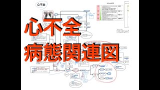 ［公開］心不全の病態関連図 [upl. by Jutta]