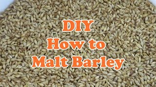 DIY How to malt Barley [upl. by Ajiat170]