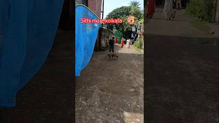 Kolkata catching blind dog and treatment for shelter difficult catching karon dog ta pregnant [upl. by Carmelita250]