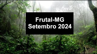 Frutal MG Setembro 2024 Javali Porco Javaporco Cateto Tamanduá Jaó Seriema Tatu Galinha Mutum Irara [upl. by Zzabahs]