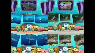 octonauts season 5 episode 14 gigantic whales  dogfish [upl. by Liscomb]