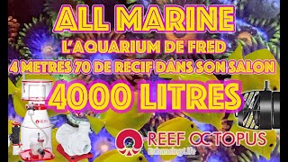 Les premiers mois de l aquarium récifal de 4000 L [upl. by Turnheim]