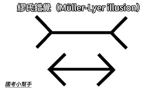 繆氏錯覺（Müller Lyer illusion） [upl. by Frederic]