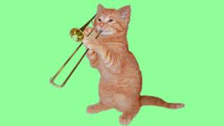 Cat Playing Trombone [upl. by La Verne]