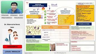 INFECCIONES VIRALES PARTE 3  SÍNDROME MONONUCLEOSIDO CITOMEGALOVIRUS VEB INFECTOLOGÍA VILLAMEDIC [upl. by Eednarb]