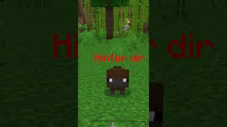 PERRY das Schnabeltier in Minecraft shorts minecraft [upl. by Biggs]