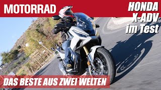 Honda XADV 2025 Das Beste aus zwei Welten AdventureScooter mit neuen Features [upl. by Nemraciram]