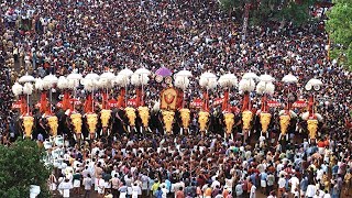 Thrissur Pooram  Pooram festivals of Kerala [upl. by Gerdy]