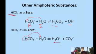 Amphoteric Substances amp Conjugate Bases [upl. by Bel536]