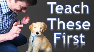 3 Easy Things to Teach your NEW PUPPY [upl. by Auqinu734]