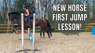 SHOWJUMPING BASICS Wincey Full Lesson VLOG [upl. by Htrahddis]