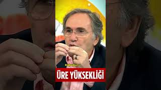 Üre Yüksekliği Nasıl Düşer ❓👍 ibrahimsaraçoğlu faydatv şifalıbitkiler üreyüksekliği [upl. by Leeth]