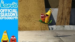 Exclusive  Official Bouncy ball  Larva Season 3 Episode 79 [upl. by Annas964]