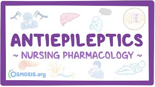 Antiepileptics Nursing Pharmacology [upl. by Iht793]