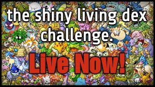 Catching all Shiny Scarlet Paradox Pokemon [upl. by Rudie487]